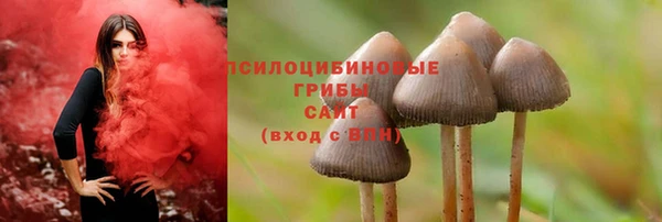 кристаллы Белокуриха
