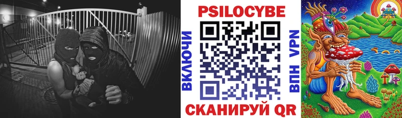 где продают   Шенкурск  Галлюциногенные грибы Psilocybine cubensis 